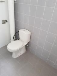 Blk 145 Bishan Street 11 (Bishan), HDB 5 Rooms #149173512
